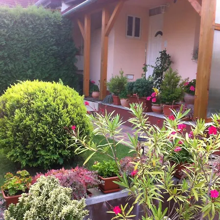 Novak Apartman Apartment